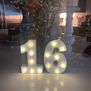LED Light Up Number 16 Sign